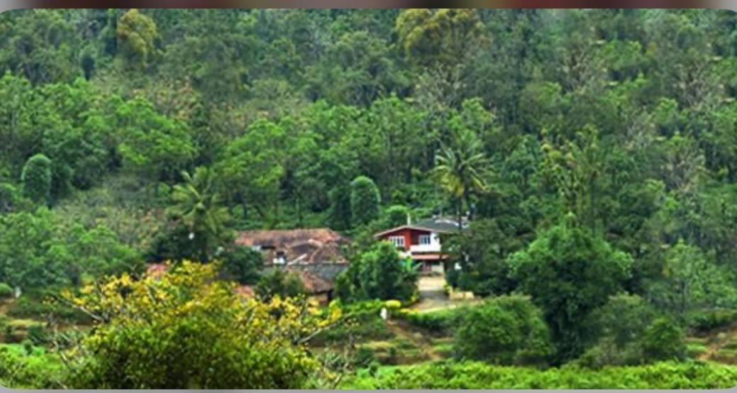 Coorg Naladi Holidays Kakkabe ภายนอก รูปภาพ